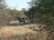BOTSWANA Roberto e Lidia - 008